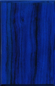 Plakette blau 255x165mm