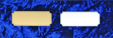 Gravurschild silber 49x18mm