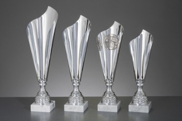 Serie silber mit 4Pokalen Winner-Cup