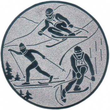 Emblem Skikombination Ø25