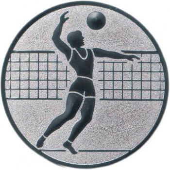 Emblem Volleyball Ø25