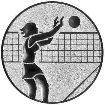 Emblem Volleyball Ø50