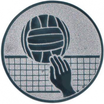 Emblem Volleyball Ø25