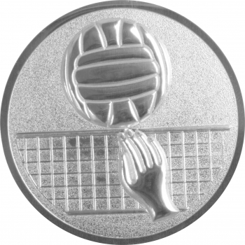 Emblem Volleyball Ø25